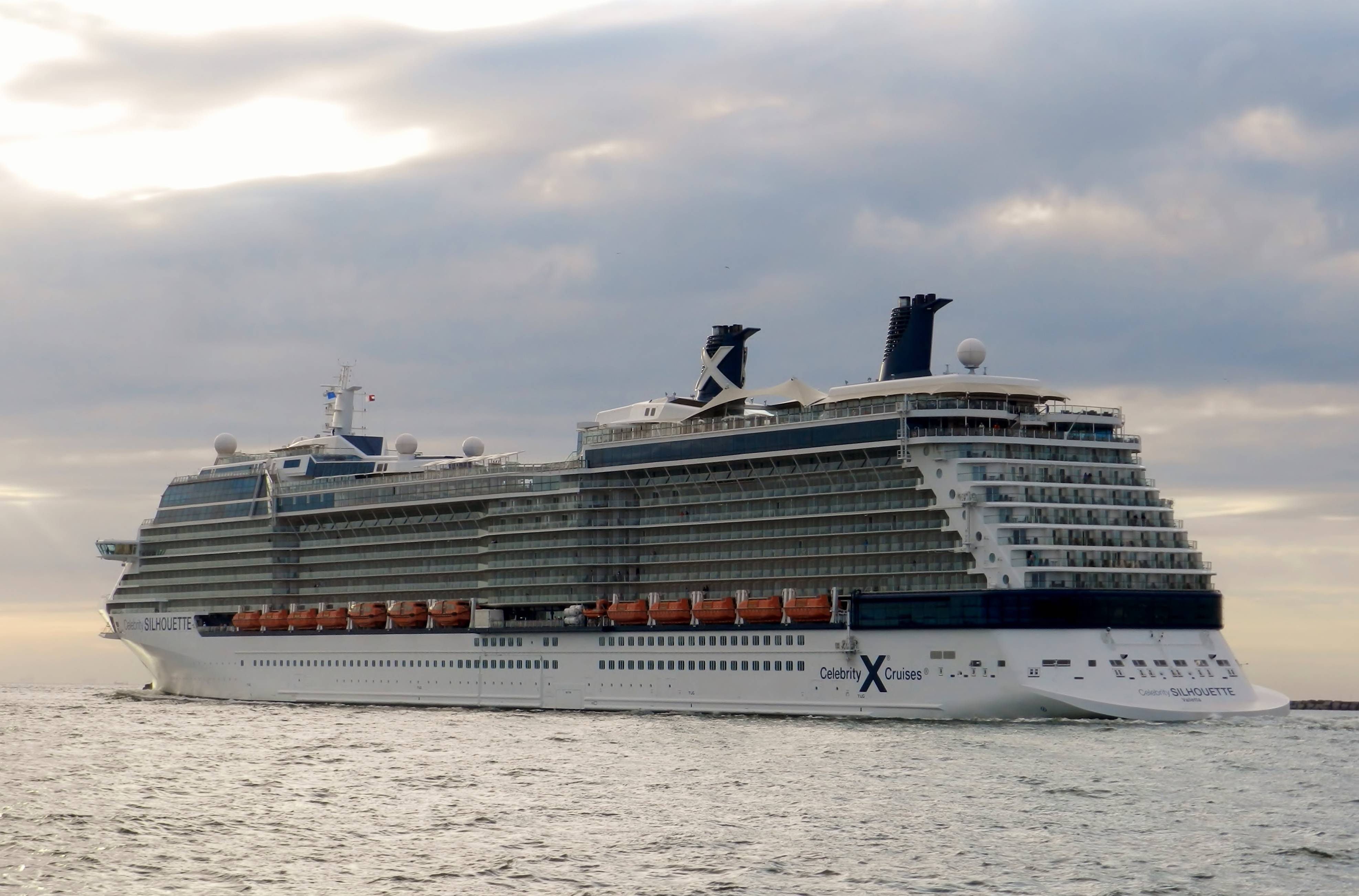 CELEBRITY SILHOUETTE